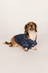Model is wearing Gisele Printed TENCEL™ Modal Pet PJ in Santa Paws Navy/Ivory