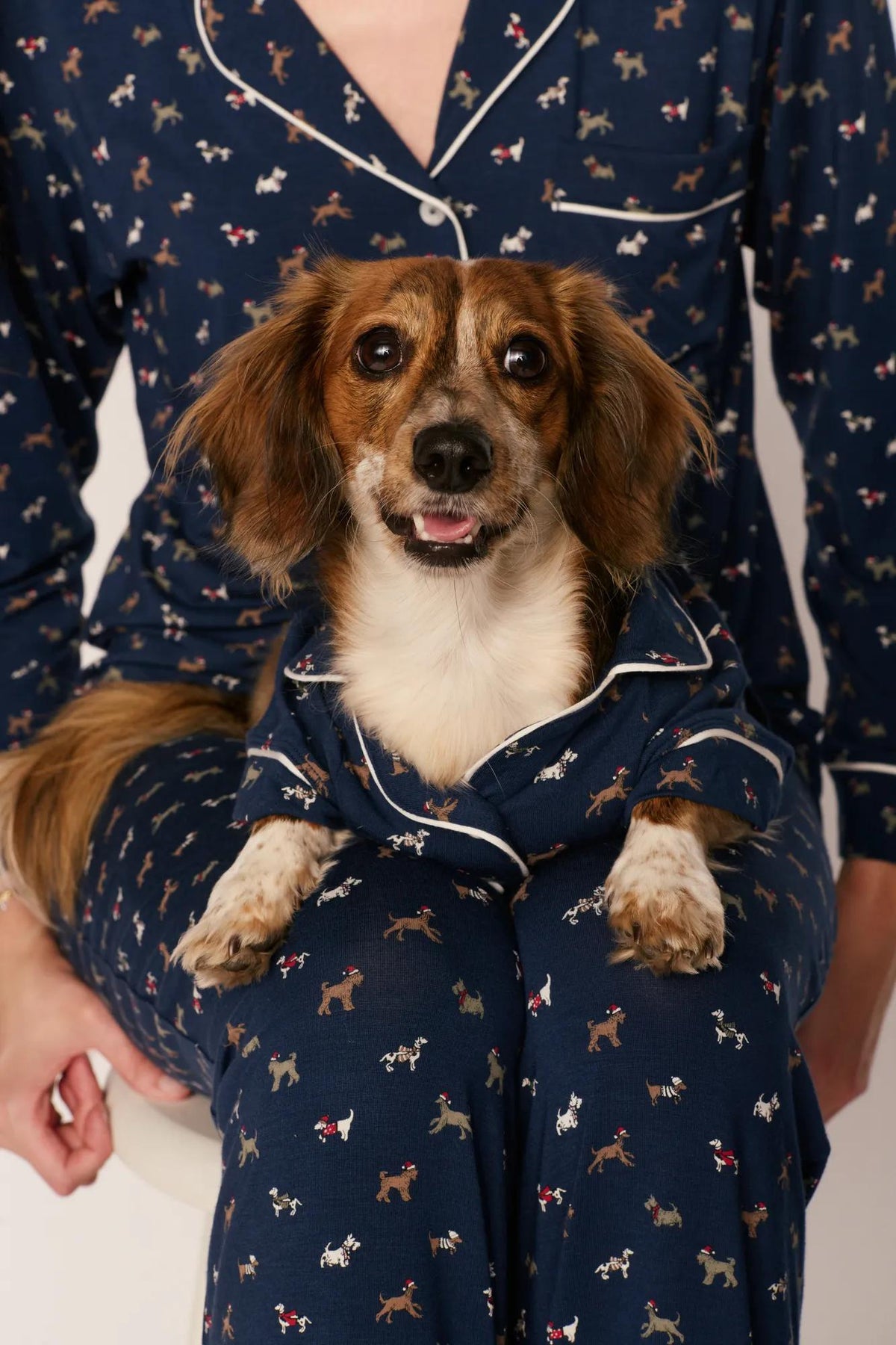 Model is wearing Gisele Printed TENCEL™ Modal Pet PJ in Santa Paws Navy/Ivory