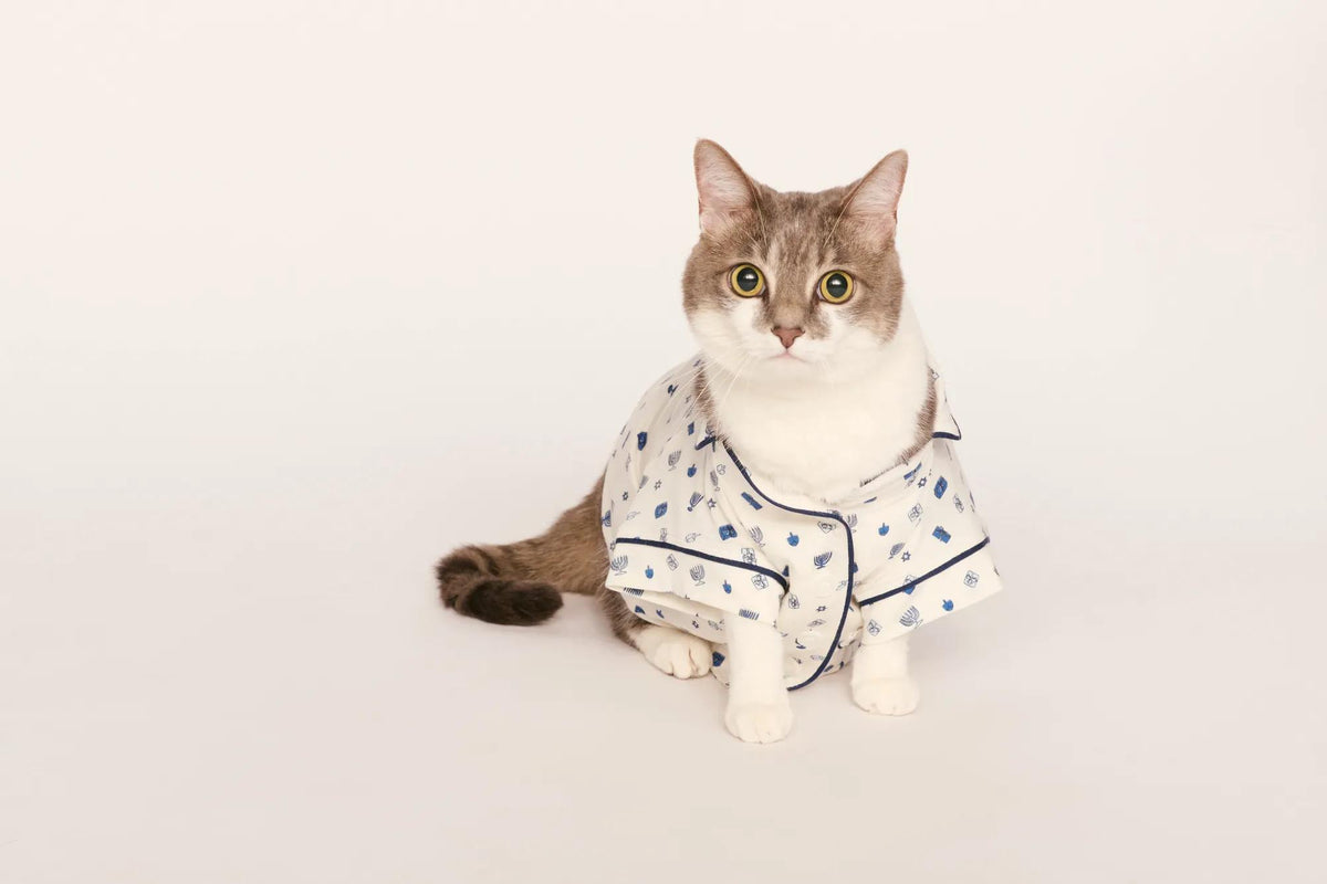 Model is wearing Gisele Printed TENCEL™ Modal Pet PJ in Twinkling Menorah Ivory/Navy