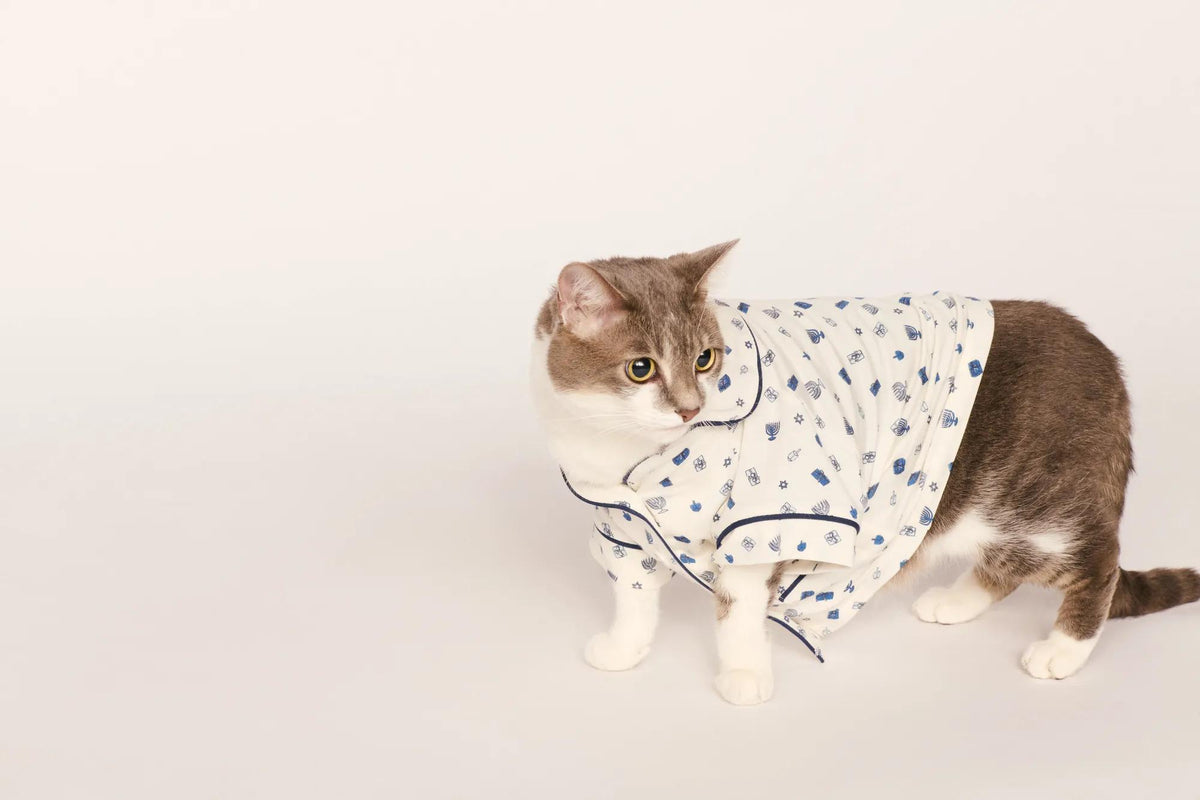 Model is wearing Gisele Printed TENCEL™ Modal Pet PJ in Twinkling Menorah Ivory/Navy