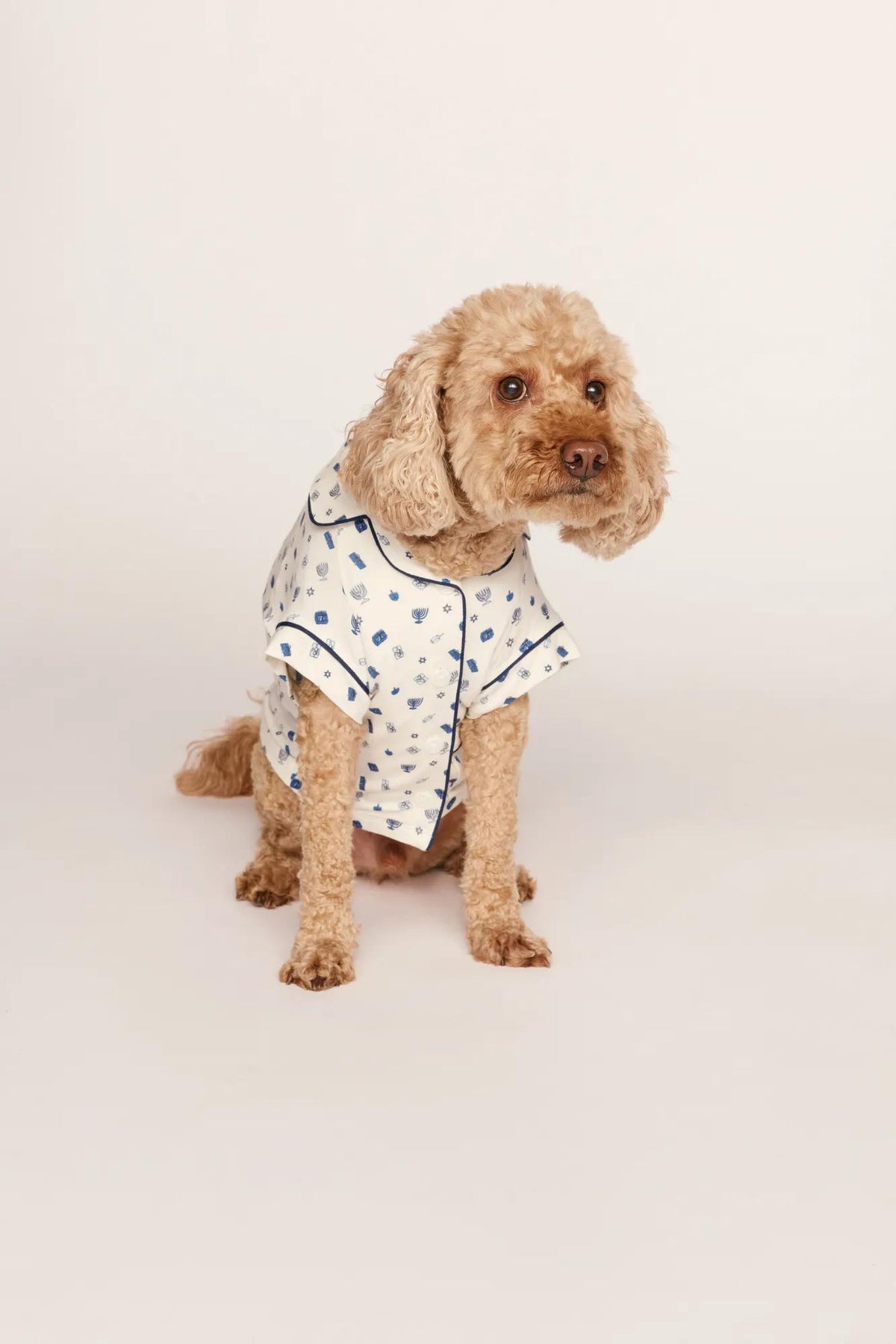 Model is wearing Gisele Printed TENCEL™ Modal Pet PJ in Twinkling Menorah Ivory/Navy