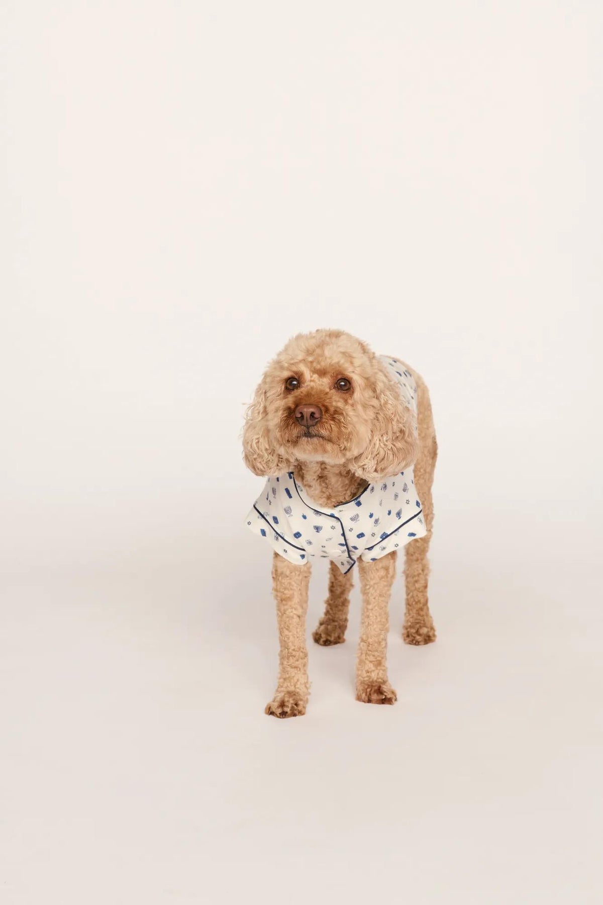 Model is wearing Gisele Printed TENCEL™ Modal Pet PJ in Twinkling Menorah Ivory/Navy