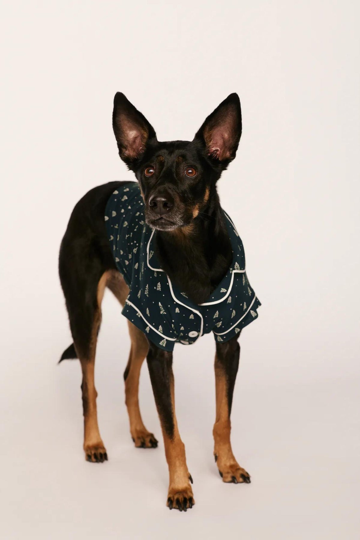 Model is wearing Gisele Printed TENCEL™ Modal Pet PJ in Winter Pine/Ivory