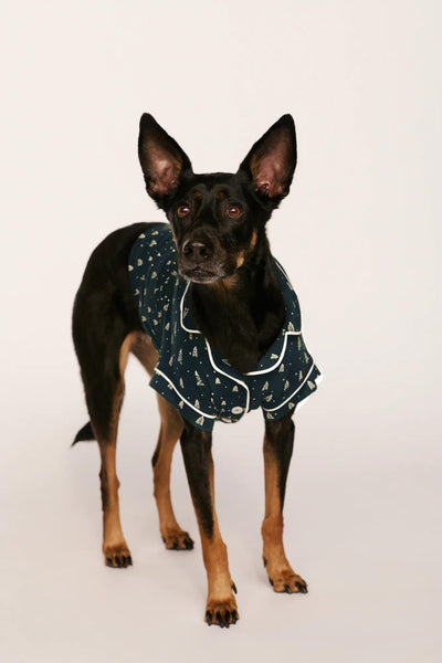 Model is wearing Gisele Printed TENCEL™ Modal Pet PJ in Winter Pine/Ivory