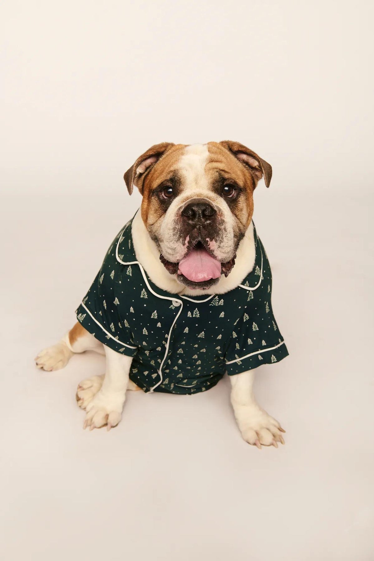 Model is wearing Gisele Printed TENCEL™ Modal Pet PJ in Winter Pine/Ivory
