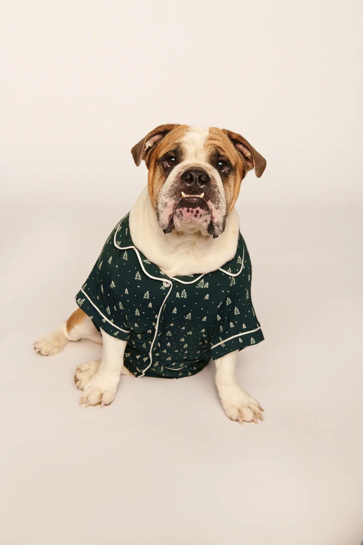 Model is wearing Gisele Printed TENCEL™ Modal Pet PJ in Winter Pine/Ivory