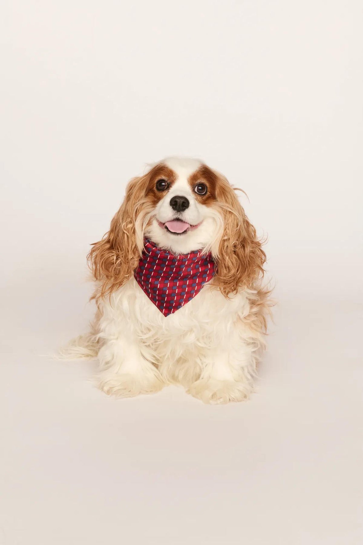 Model is wearing Inez Washable Silk Printed Scarf in Harlequin Holly Red