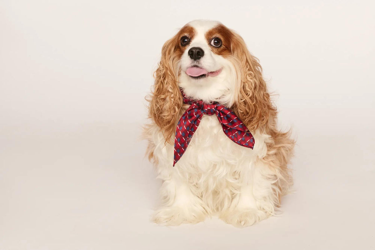 Model is wearing Inez Washable Silk Printed Scarf in Harlequin Holly Red