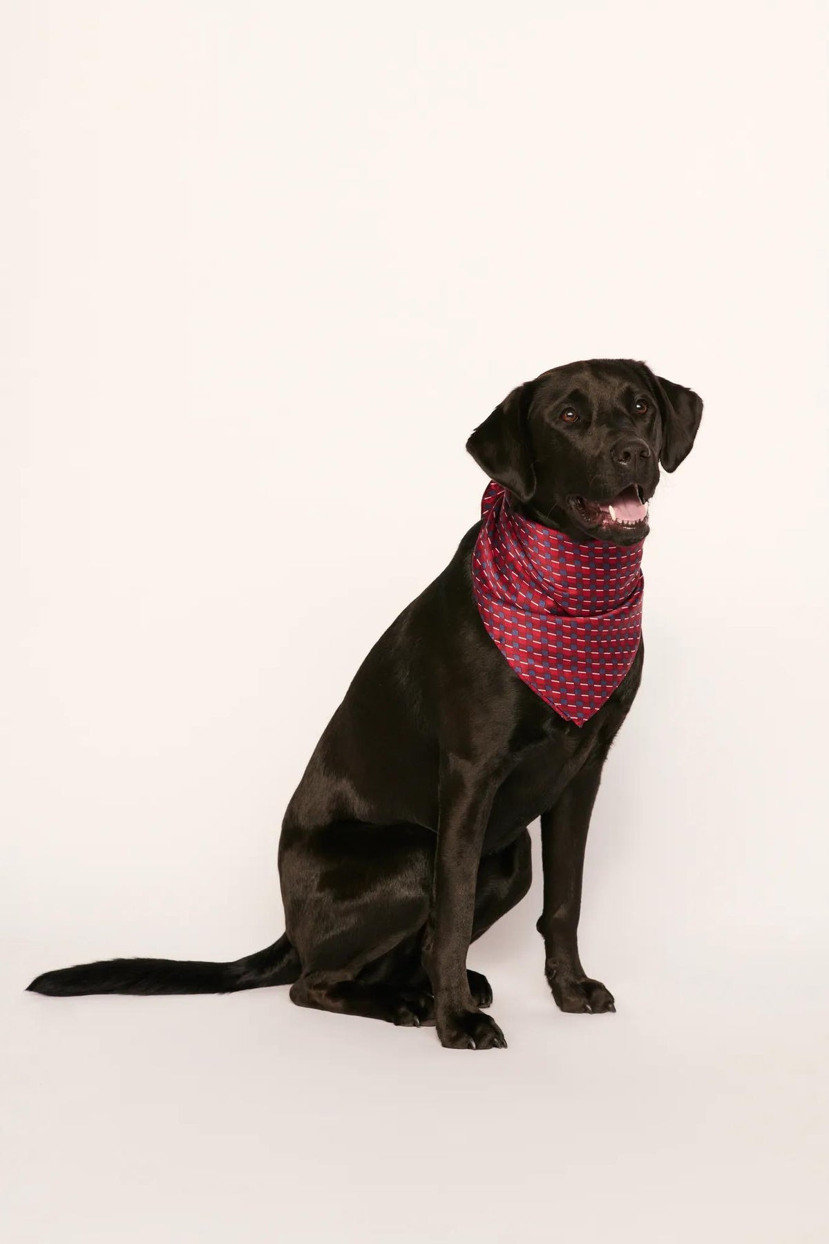 Model is wearing Inez Washable Silk Printed Scarf in Harlequin Holly Red
