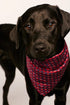 Model is wearing Inez Washable Silk Printed Scarf in Harlequin Holly Red