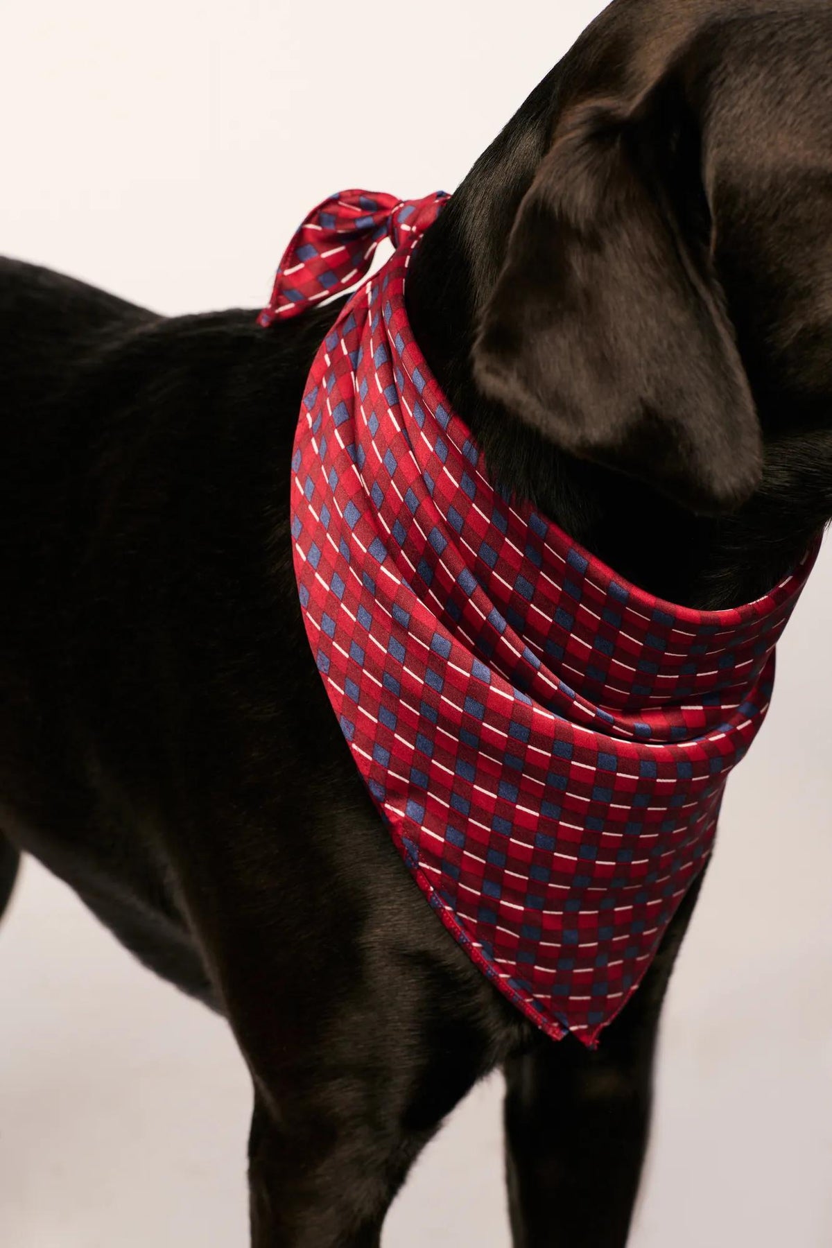 Model is wearing Inez Washable Silk Printed Scarf in Harlequin Holly Red
