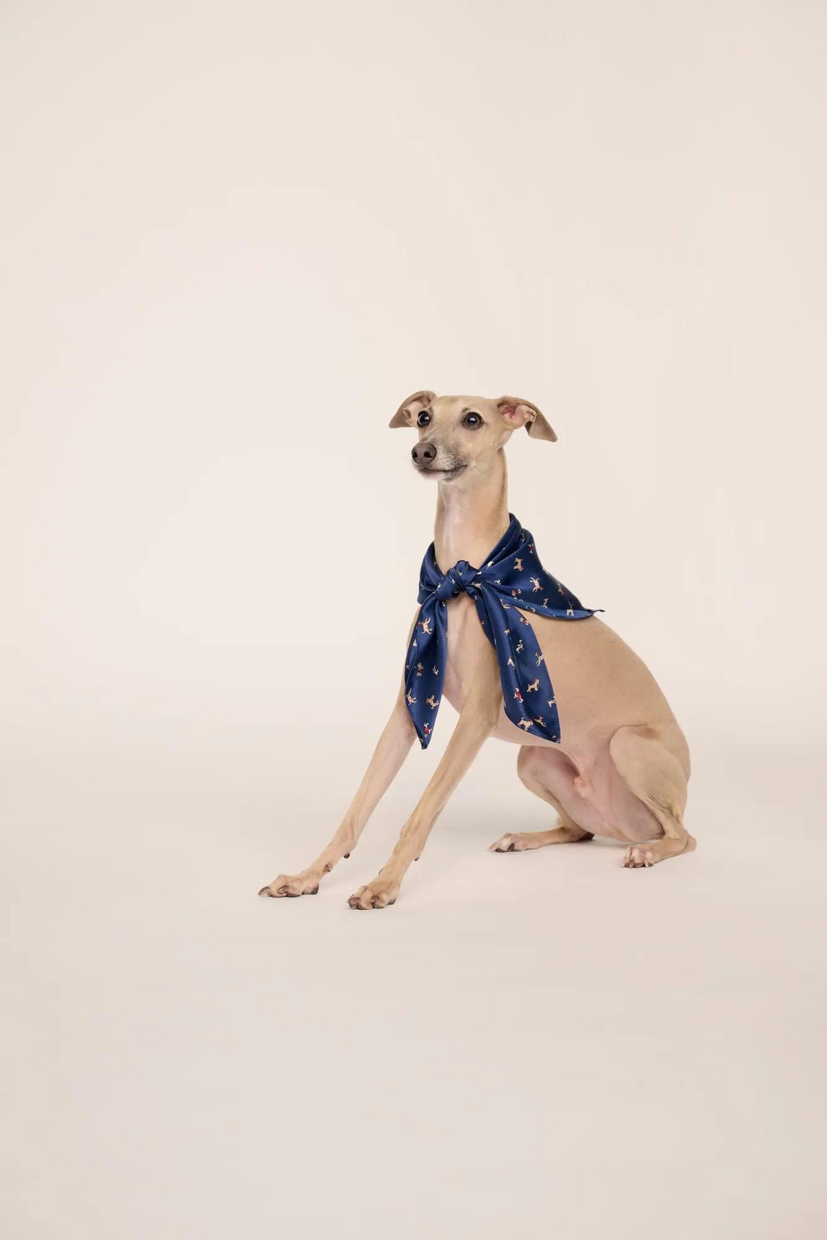 Model is wearing Inez Washable Silk Printed Scarf in Santa Paws Navy