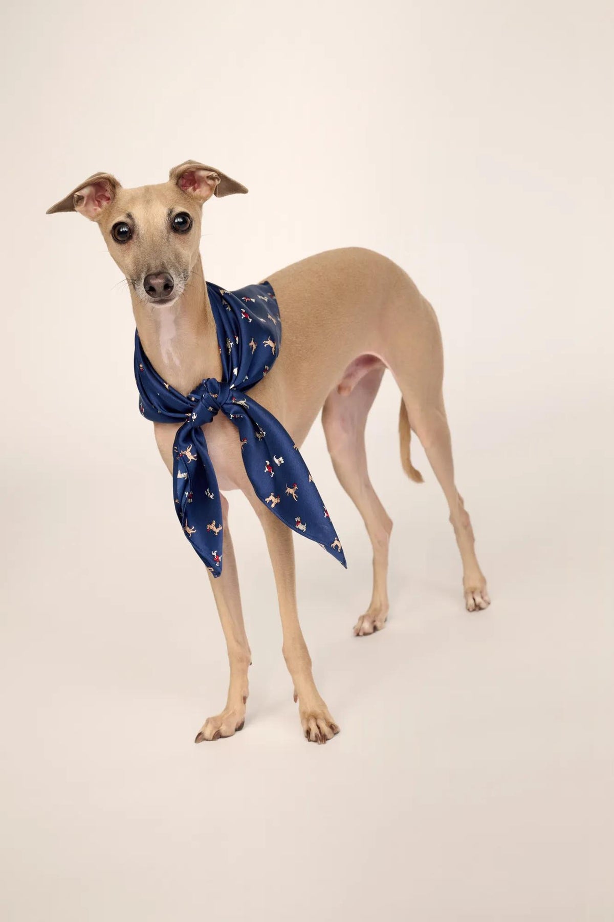 Model is wearing Inez Washable Silk Printed Scarf in Santa Paws Navy