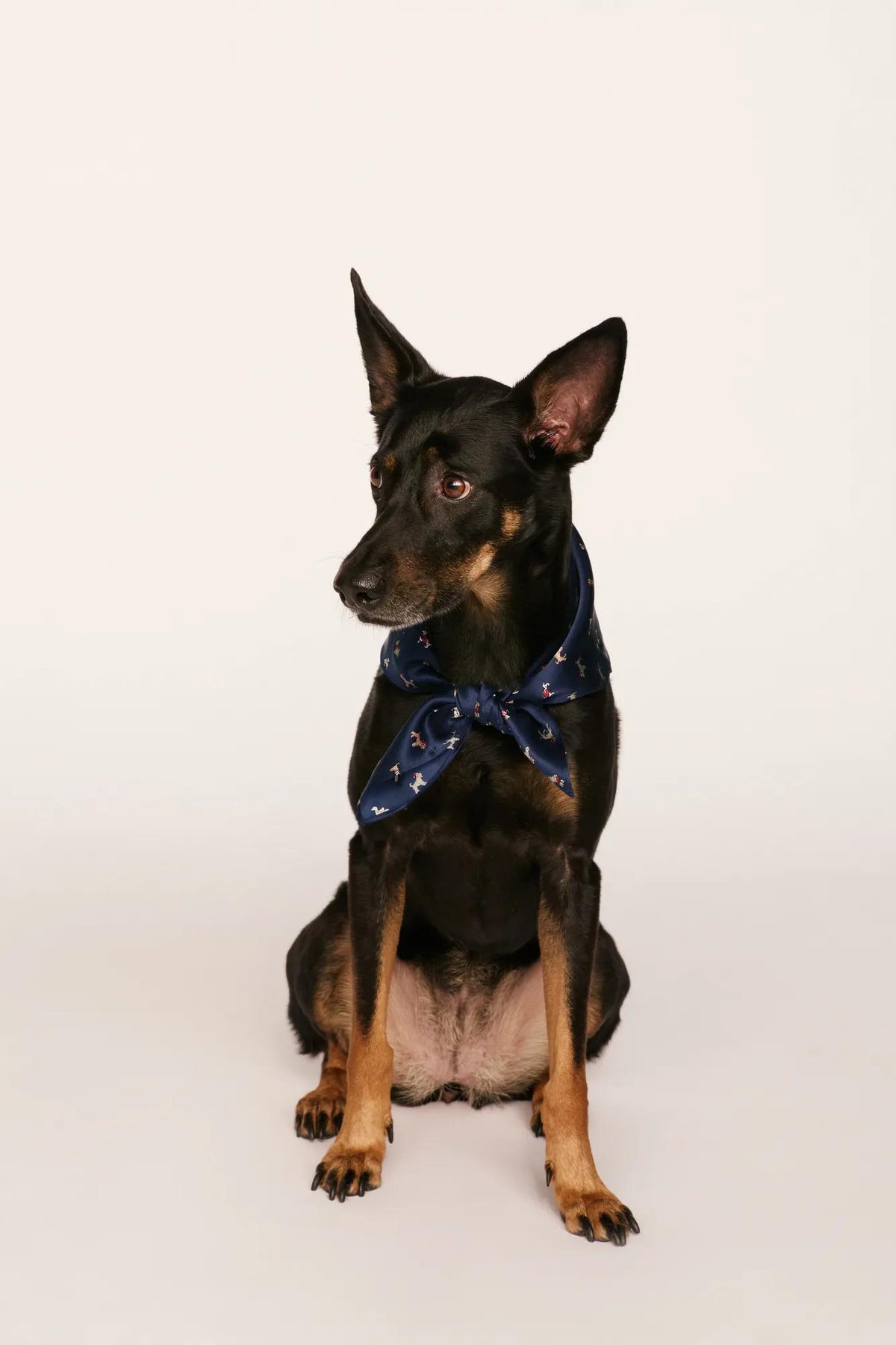 Model is wearing Inez Washable Silk Printed Scarf in Santa Paws Navy