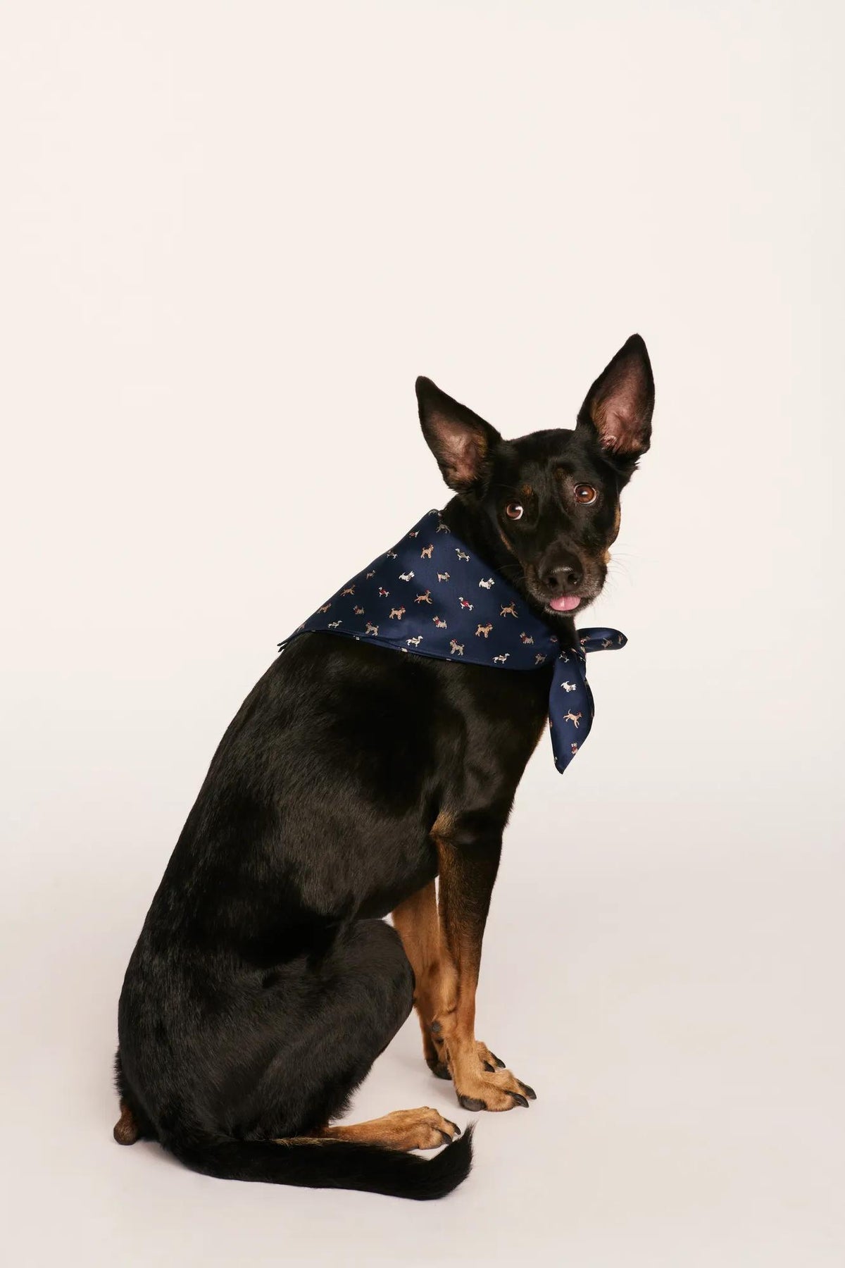 Model is wearing Inez Washable Silk Printed Scarf in Santa Paws Navy