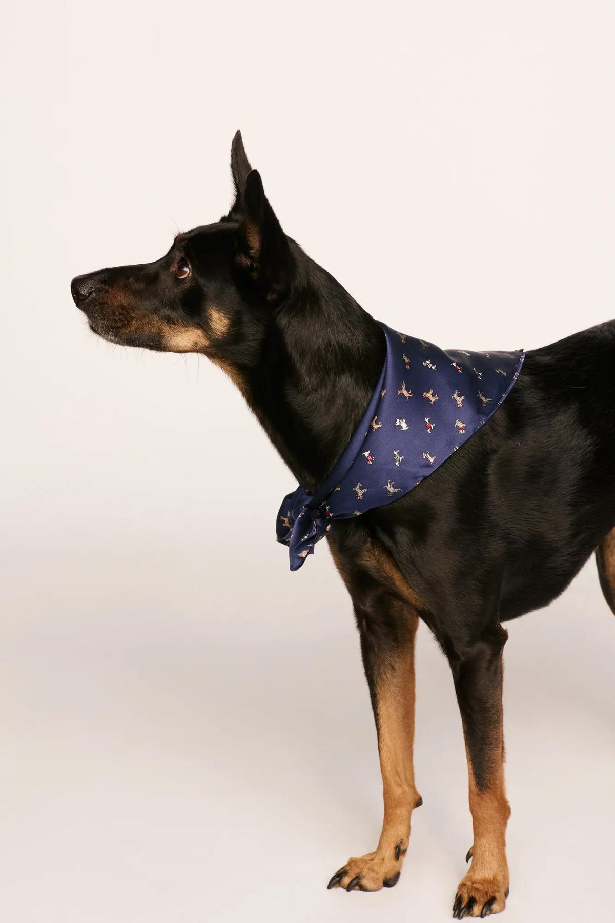 Model is wearing Inez Washable Silk Printed Scarf in Santa Paws Navy
