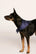 Model is wearing Inez Washable Silk Printed Scarf in Santa Paws Navy