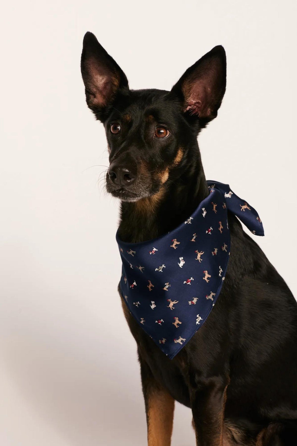 Model is wearing Inez Washable Silk Printed Scarf in Santa Paws Navy