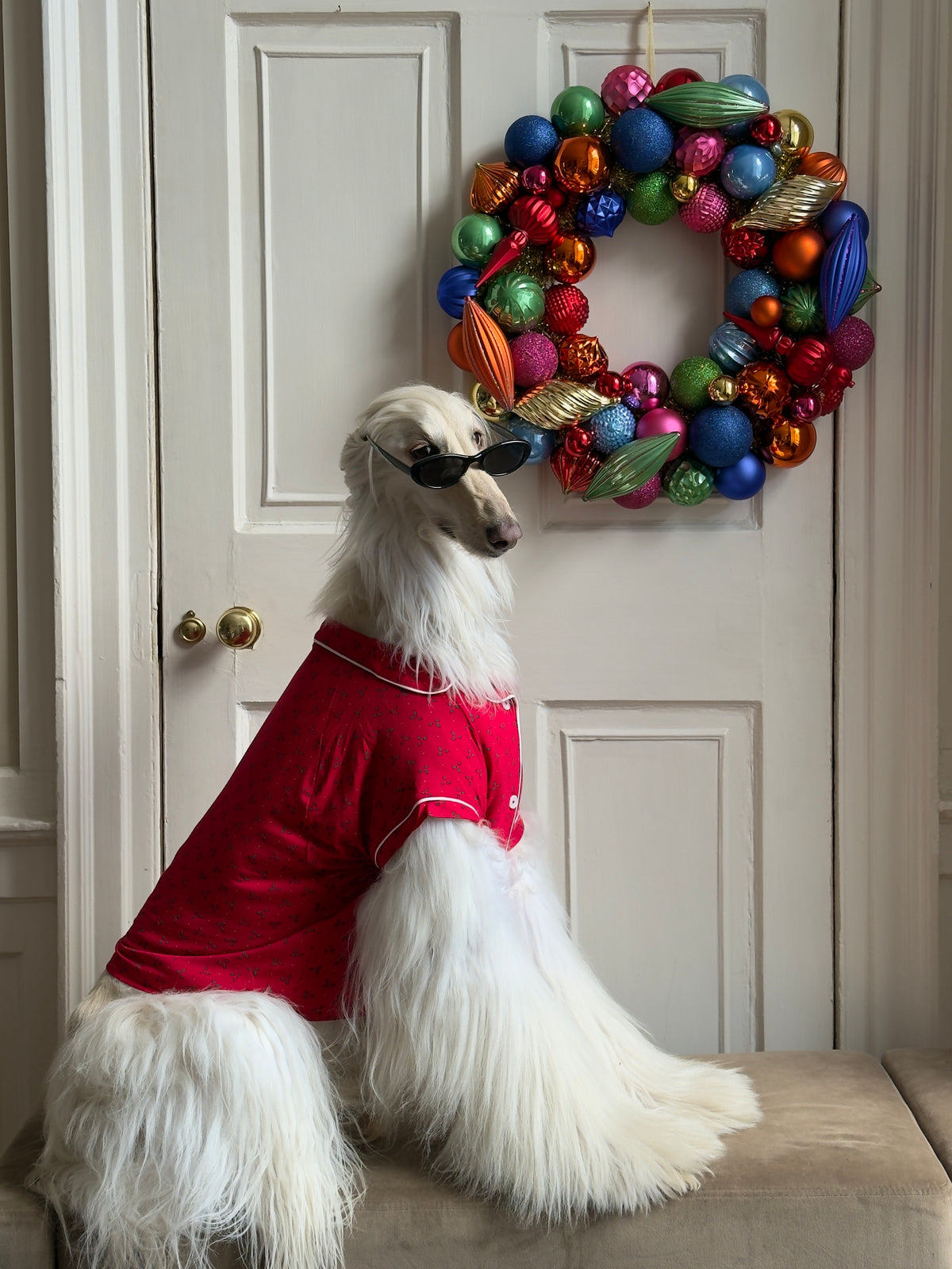 Model is wearing Gisele Printed TENCEL™ Modal Pet PJ in Hollyberry Holly Red/Ivory