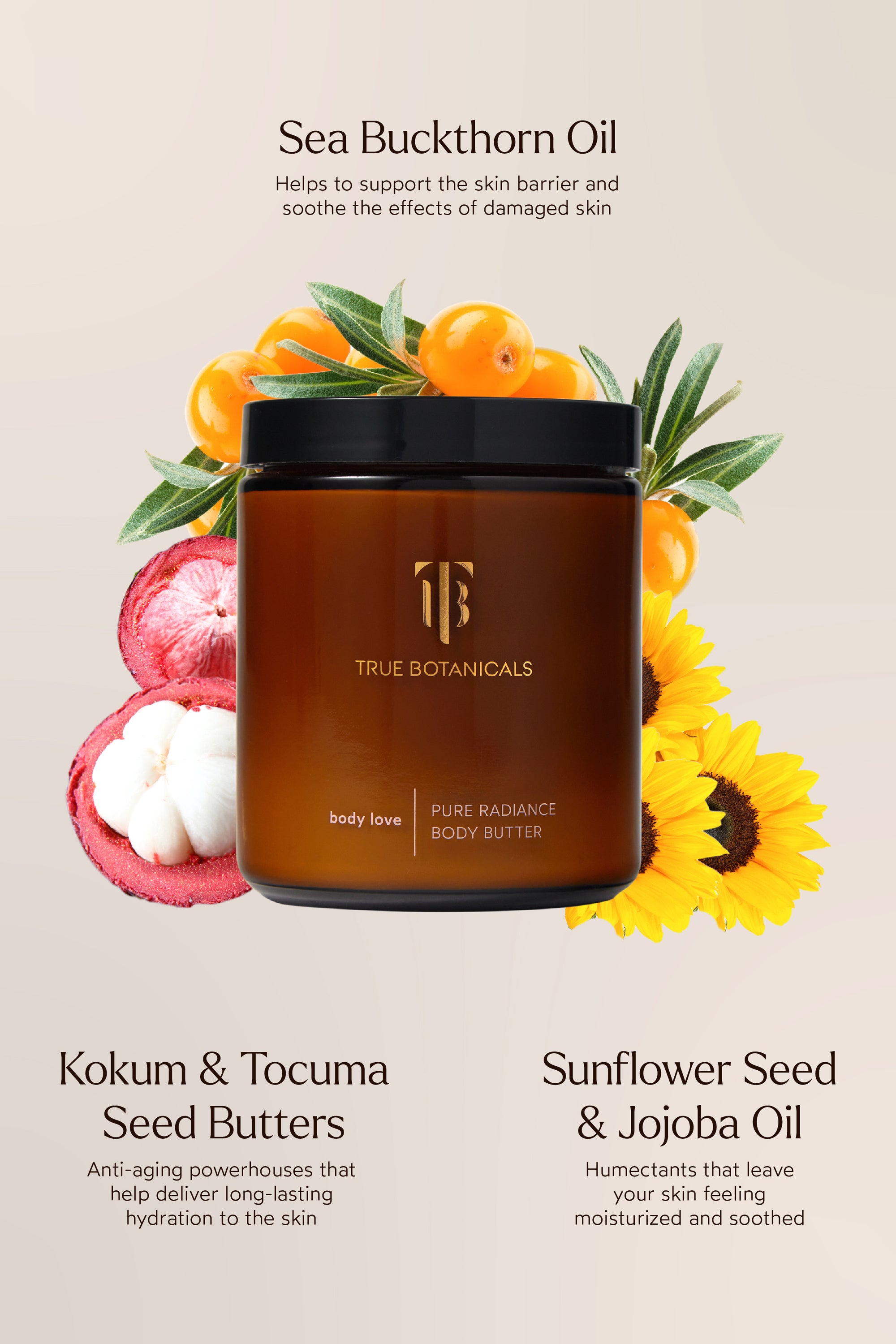 Image of benefits of True Botanicals Sugar Scrub