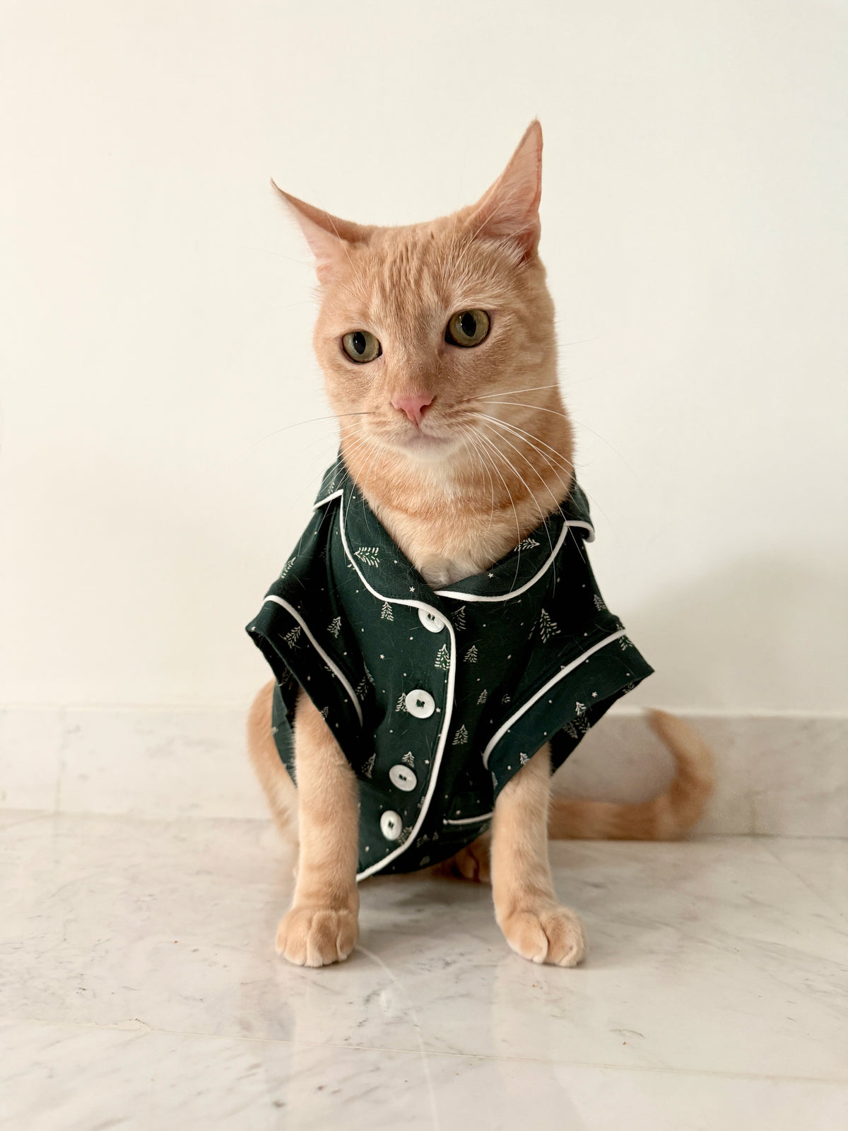 Model is wearing Gisele Printed TENCEL™ Modal Pet PJ in Winter Pine/Ivory