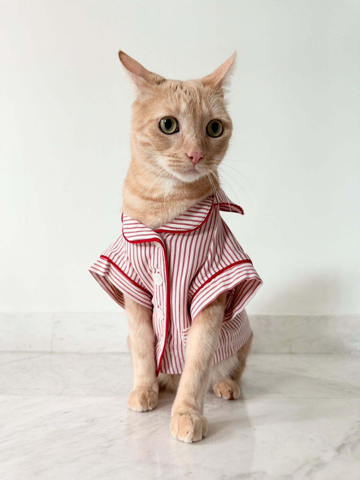 Model is wearing Gisele Printed TENCEL™ Modal Pet PJ in Duo Stripe Hollyred/Hollyred